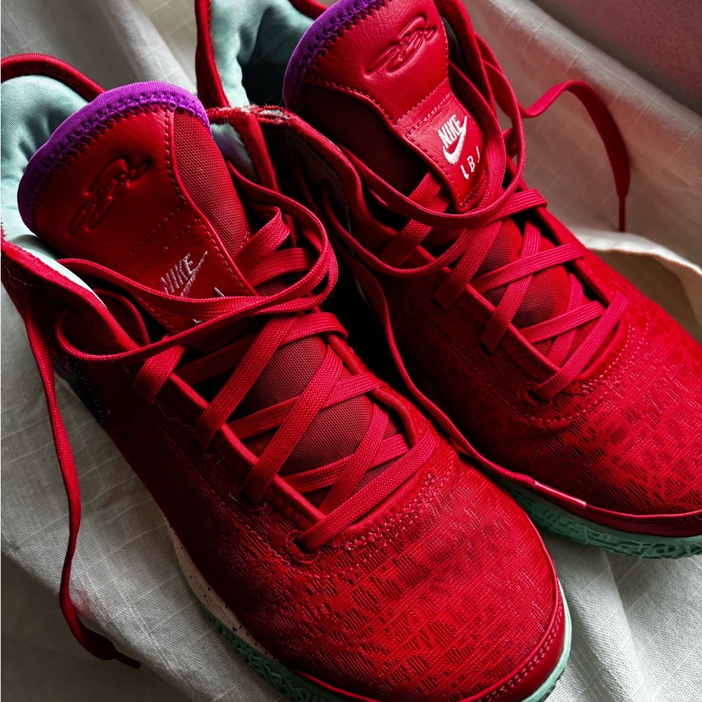 Nike Zoom LeBron NXXT Gen Track 10.5